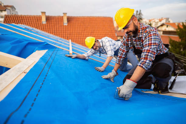 Best Storm Damage Roof Repair  in Reidsville, NC
