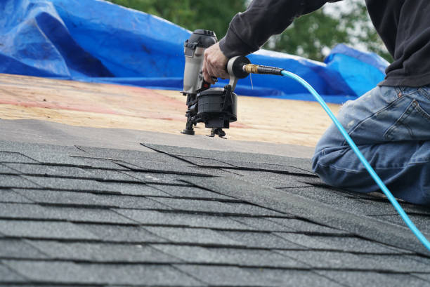 Best Roof Maintenance Services  in Reidsville, NC